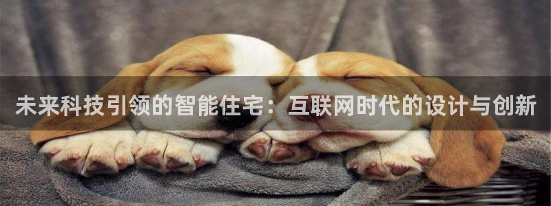 辉达娱乐公司