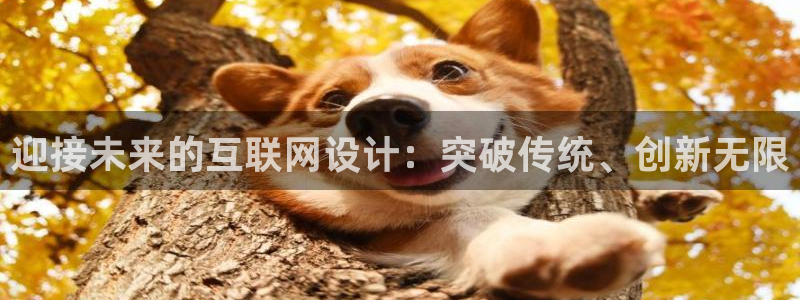 辉达娱乐官方网址