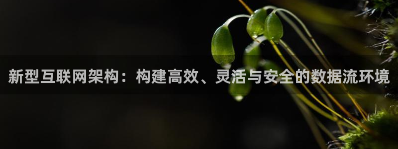 辉达娱乐时时彩