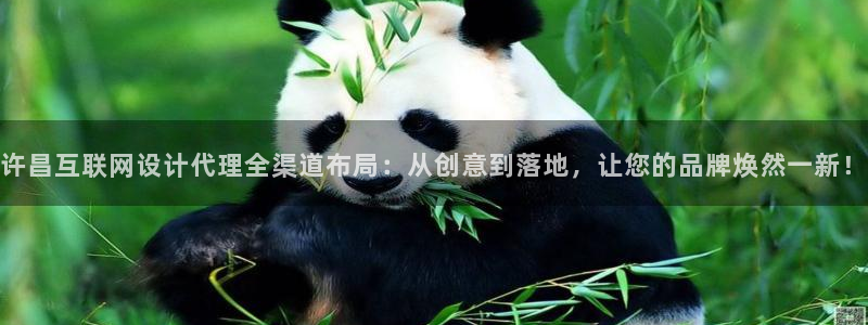 辉达娱乐可靠