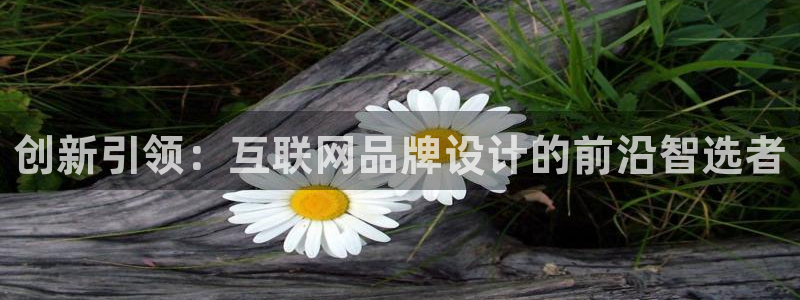 专业辉达娱乐平台