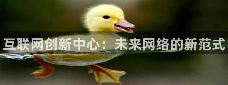 辉达娱乐下载