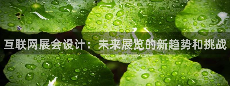 辉达娱乐体育竞猜