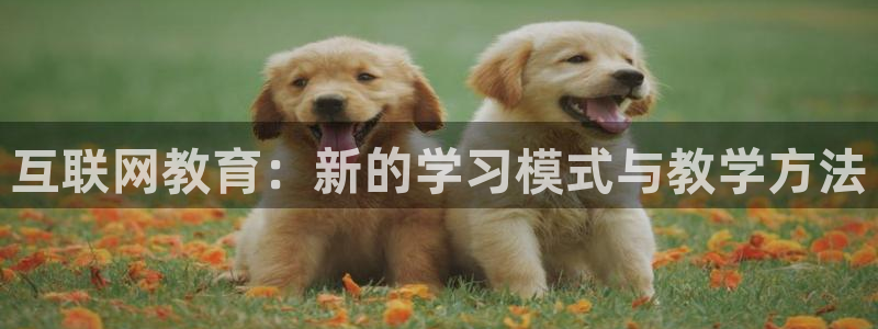 信誉辉达娱乐平台