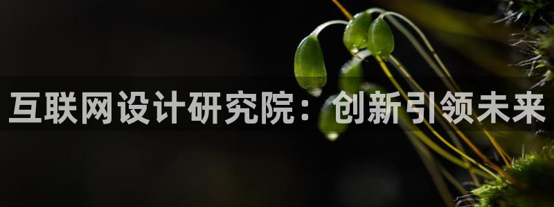 正规辉达娱乐平台