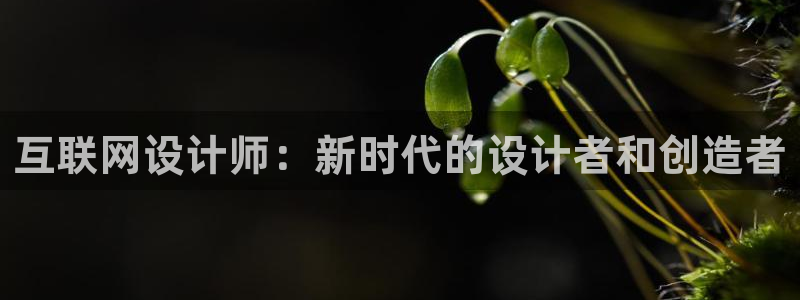 辉达娱乐官网