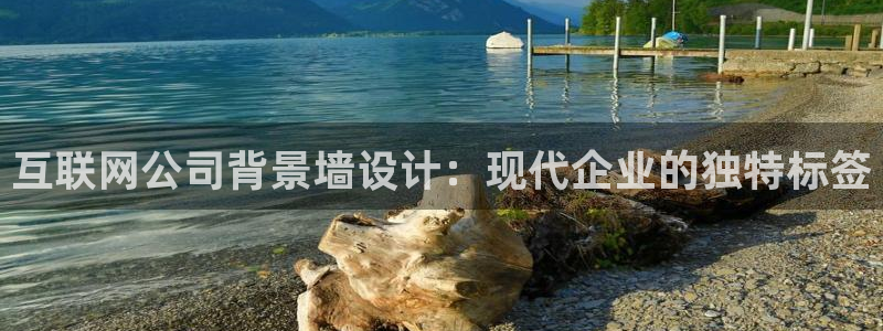 辉达娱乐总部：互联网公司背景墙