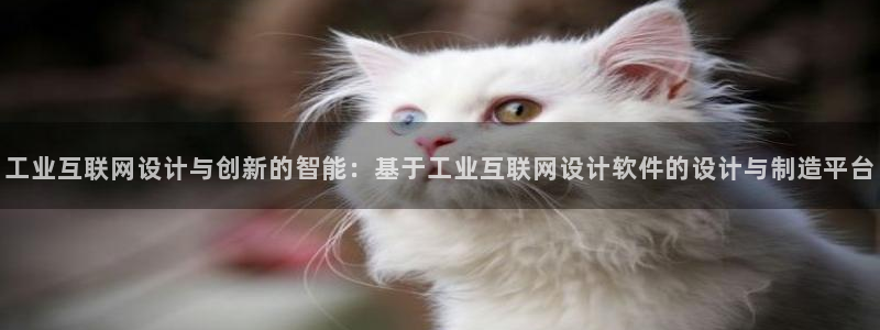 辉达集团官方网站