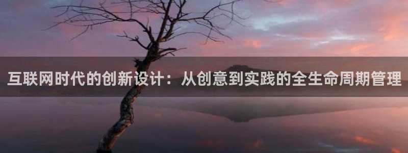 辉达娱乐