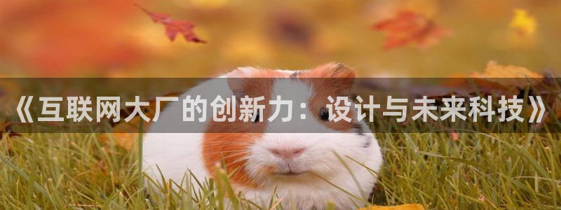 辉达娱乐公司