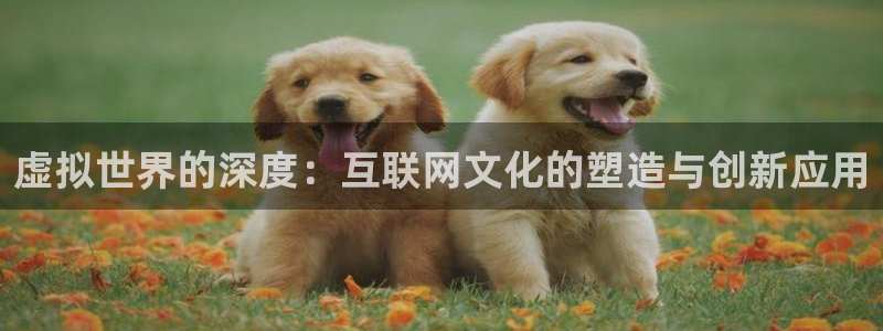 辉达娱乐app：虚拟世界的深度