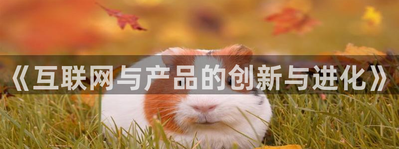 辉达娱乐电子游艺：《互联网与产