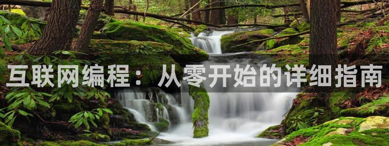 辉达娱乐招商：互联网编程：从零