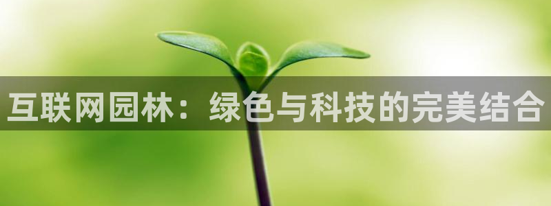 辉达娱乐待遇
