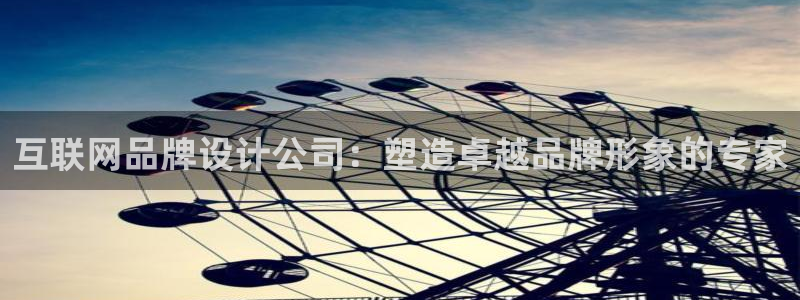 辉达平台官网登录：互联网品牌设