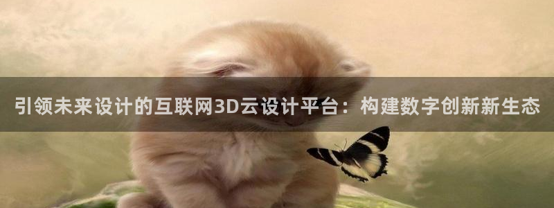 辉达娱乐属于什么档次