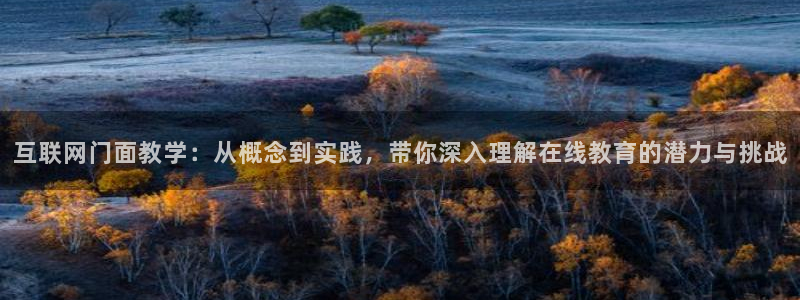 辉达娱乐app