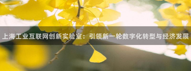 辉达娱乐多少年