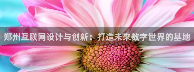 专业辉达娱乐平台