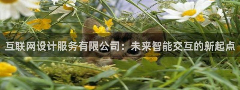 辉达平台娱乐怎么样
