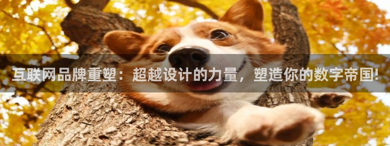 辉达娱乐分红