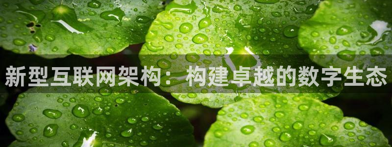 辉达娱乐123123