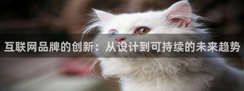 辉达娱乐兼职：互联网品牌的创新