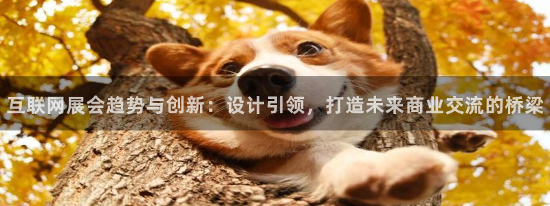 辉达娱乐五39444