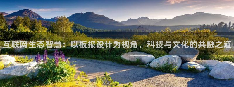 辉达娱乐招商：互联网生态智慧：