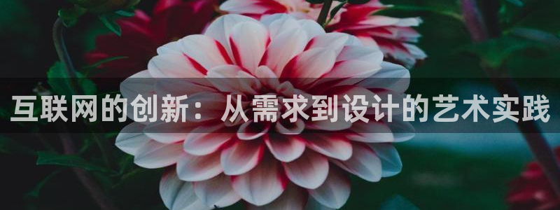 信誉辉达娱乐：互联网的创新：从