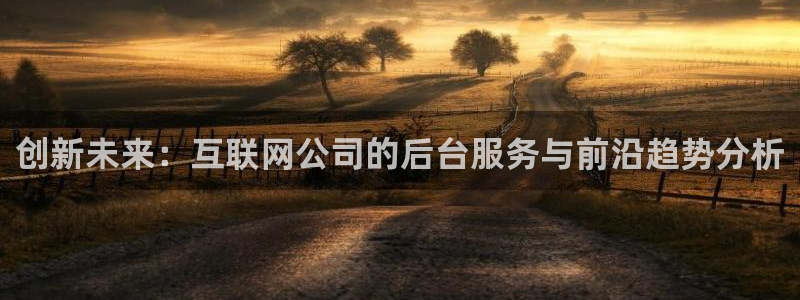 辉达娱乐时时彩：创新未来：互联