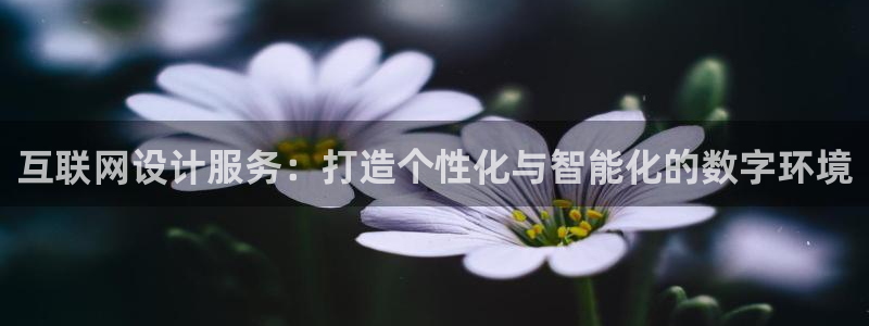 专业辉达娱乐官方网址
