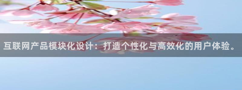 辉达娱乐网址