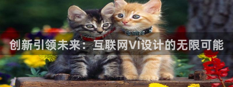 辉达娱乐总部：创新引领未来：互