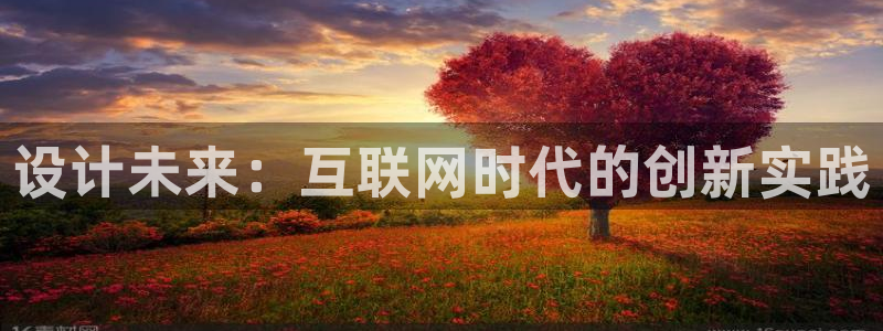 龙腾辉达电子娱乐