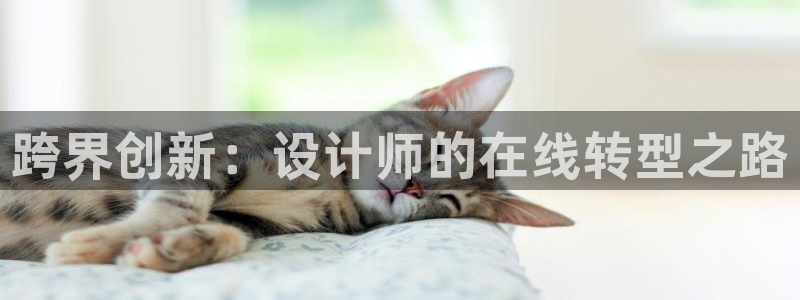 辉达娱乐新疆时时彩