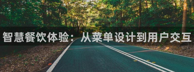 龙腾辉达电子娱乐