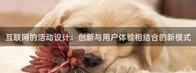 辉达娱乐衤39444