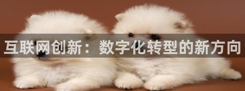 辉达娱乐五75505