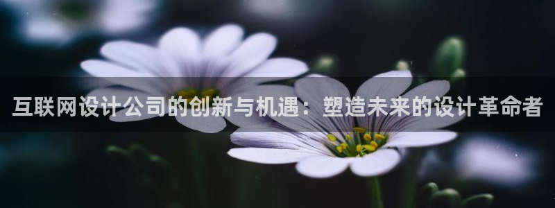 辉达娱乐可靠