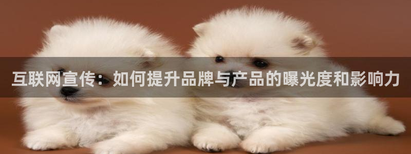 辉达娱乐属于什么档次