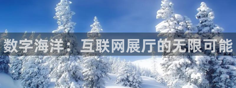 辉达娱乐珈75775：数字海洋