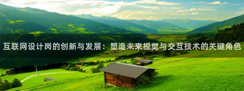 达利娱乐王辉：互联网设计岗的创