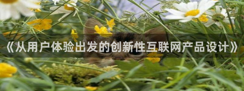 辉达娱乐总部